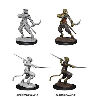D&D Nolzur's Marvelous Unpainted Miniatures: Male Tabaxi Rogue (US IMPORT)