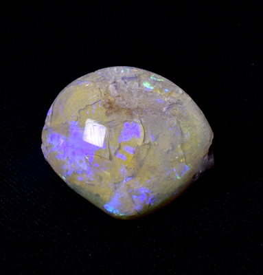 FOSSIL OPAL SHELL, Cretaceous, Australia OP08