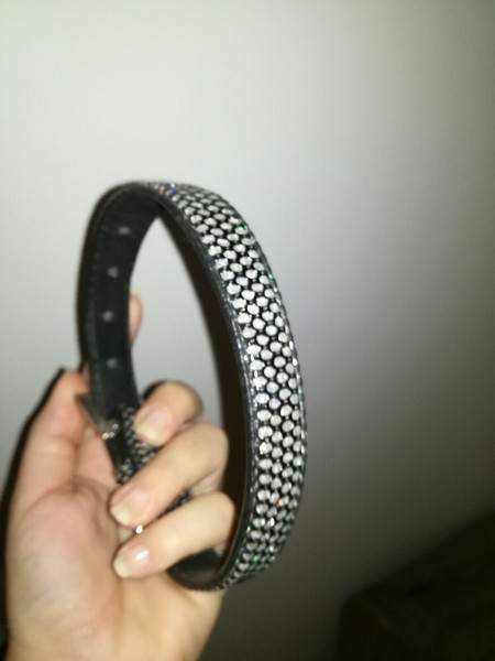 Collar Mascotas