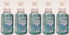 5 Bath & Body Works BEAUTIFUL DAY sanft schäumende Handseife