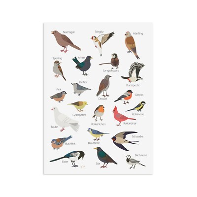 Postkarte Gartenvögel Grußkarte VÖGEL Gartenvögel