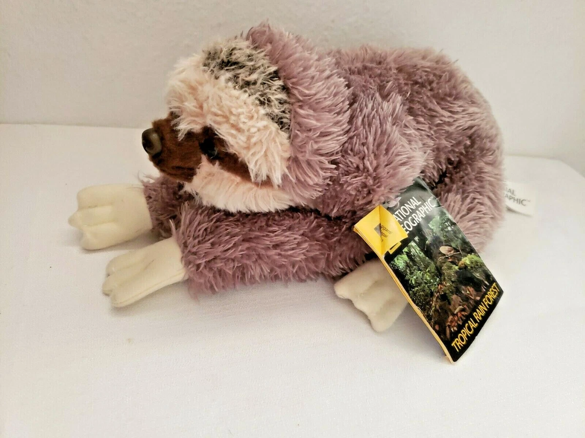 National Geographic Tropical Rain Forest Sloth Plush Stuffed Animal Realistic