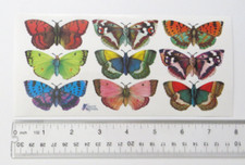 Violette Collection - BUTTERFLIES, LARGE - 1 Sheet of 9 Butterfly Stickers C13
