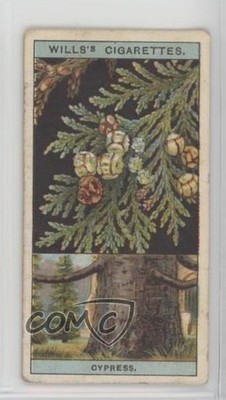 1924 Wills Flowering Trees & Shrubs Tobacco Lawson's Cypress #17 1e19