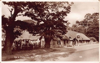 POSTKARTE - HAMPSHIRE - NEW FOREST - CAT AND FIDDLE INN - ECHTFOTO