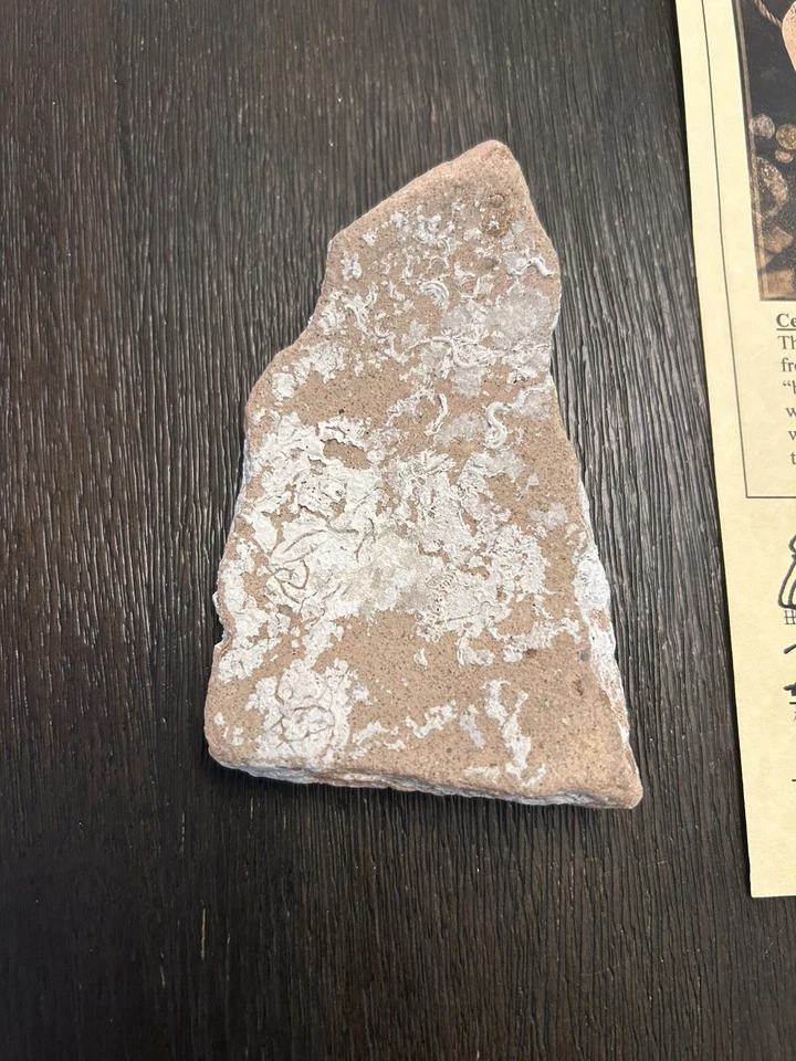 Artefacto de cerámica del naufragio de Atocha Mel Fisher Treasure para fanáticos de la flota 1715 Foto 2 de 4