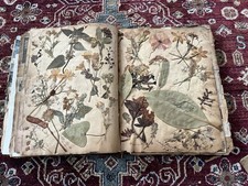 Antique European Travel Scrapbook With Pressed Flowers - Late 1800’s/early 1900s