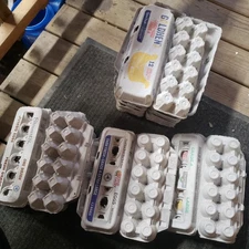 Pack of 30 Pulp Paper Empty Egg Cartons Large Medium Crafts Art Farm (12 count)