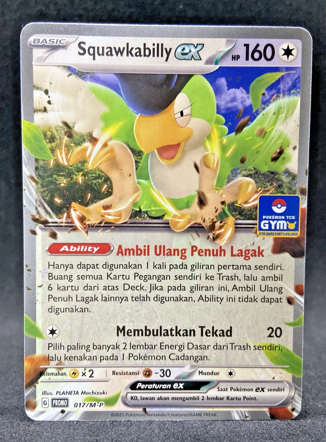 Limited Pokémon TCG Indonesia Squawkabilly ex Gym Promo 017/M-P Near Mint