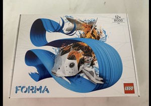 ebay lego forma