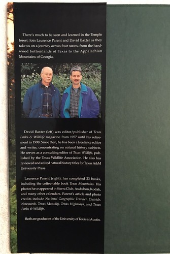 Nature of the Forest Temple-Inland’s Timberlands In The Twenty-First Century - Picture 4 of 13