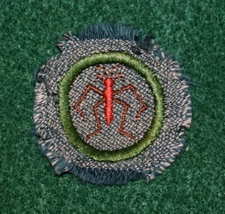 VINTAGE GIRL SCOUT BADGE - SILVER GREEN - FRESH WATER LIFE FINDER 