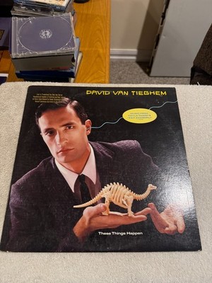 David Van Tieghem - These Things Happen LP - GOOD CONDITION!!!