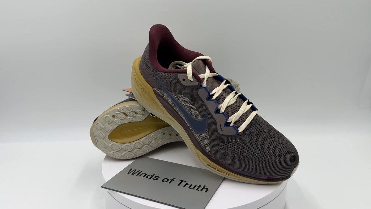 Nike Air Zoom Pegasus 41 PRM HV4327-299 Medium Ash Blue Void Men's