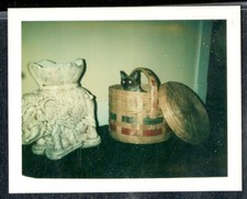 Vintage Polaroid Photo 'SAM' THE BLACK & WHITE CAT HIDES IN BASKET 1978