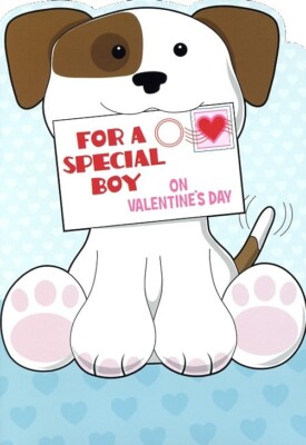 For A Special Boy On Valentine's Day - Valentine's Greeting Card - 22477