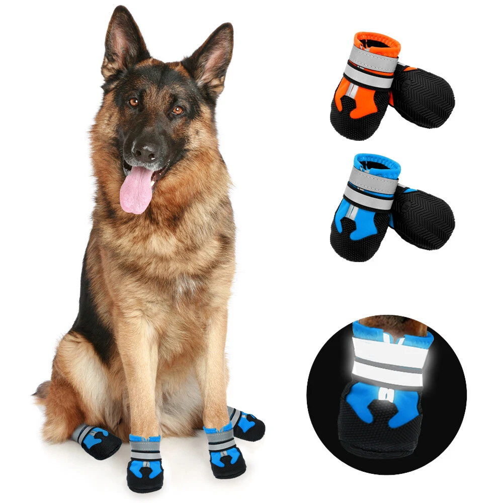 Boots for hotsell german shepherd dogs