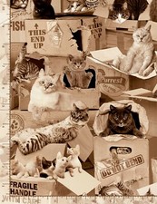 PREMIUM COTTON PRINT - CATS IN BOXES - FROM TIMELESS TREASURES - 1 1/2 YARDS