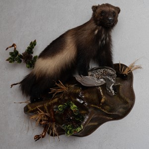 stuffed animal wolverine