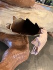 Foto 13 di 14