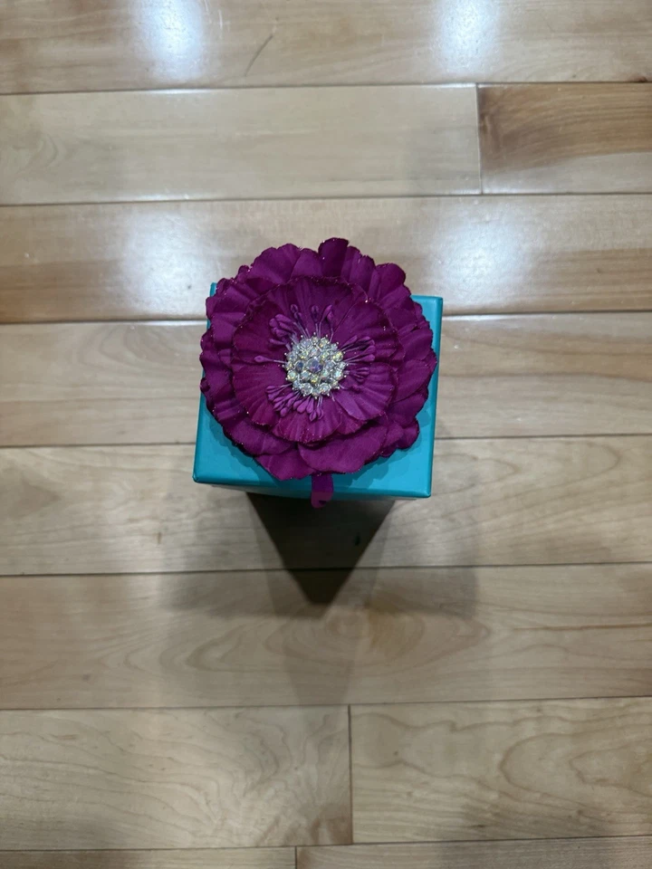 Sapatos femininos Tieks By Gavrieli tamanho 9 confortáveis sapatilhas de balé couro acastanhado - Imagem 2 de 4