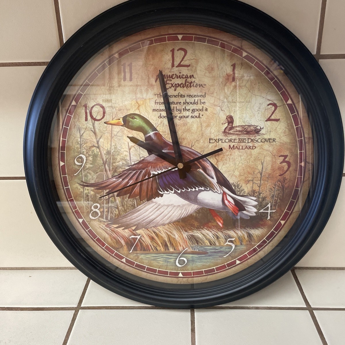 Mallard Duck Wall Clock 16