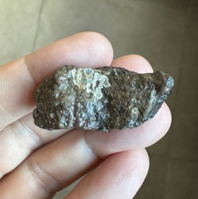 NWA 10305 Meteorit Chondrit Carbon Carbonaceous CV3 13,4g