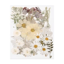 48 Pcs Dried Pressed Flower Leaves Bulk for Resin, White Gray