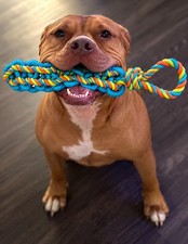 20" Thick Heavy Braided Rubber Rope Tug Dog Toy Durable Fetch Medium Large Dogs