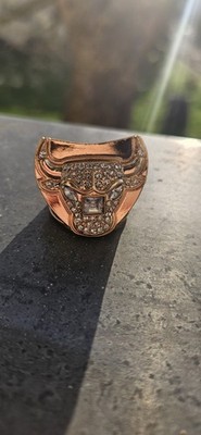 NBA Champions Ring Chicago Bulls Michael Jordan Basketball  