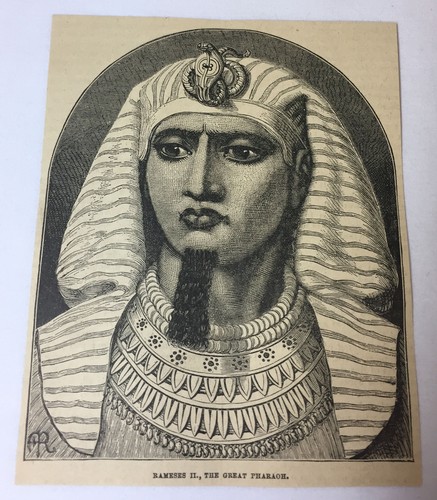 1885 magazine engraving ~ RAMESES II The Great Pharaoh