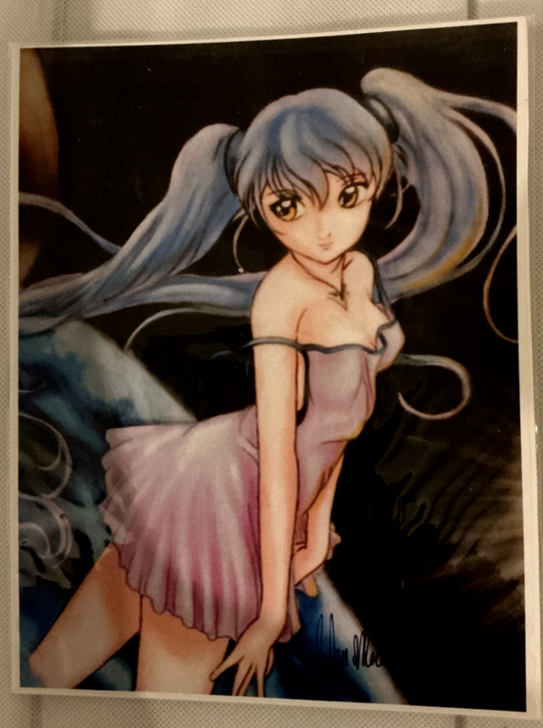 Anime Artwork Sign by Artist 