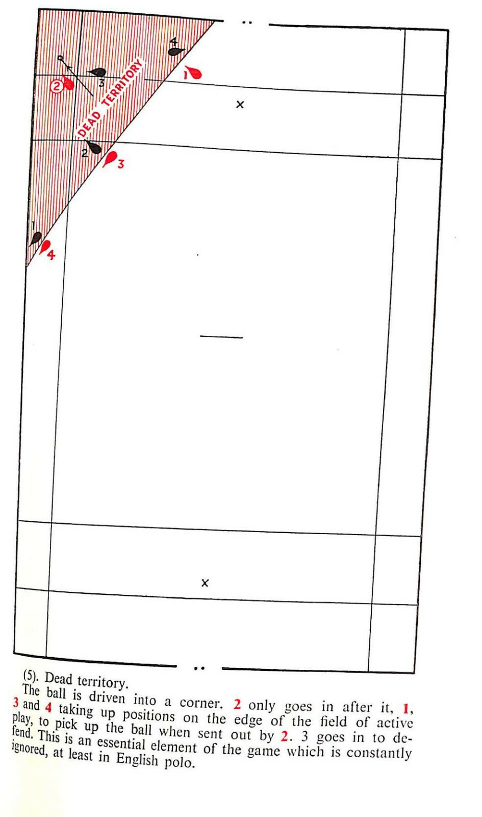 Bild 10 von 12