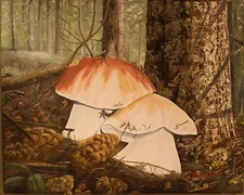 Oil Painting Colorado Mushrooms Landscape Original Canvas Medium Signed