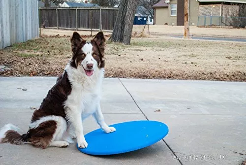 Ebay wobbel board store