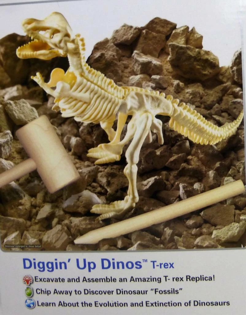 Diggin' Dino Bones