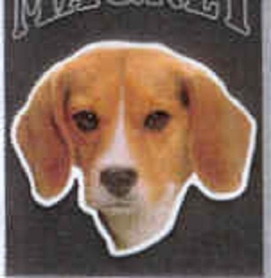 Car Magnet BEAGLE Dog Breed Die-cut Vinyl Magnet...Reduced Price