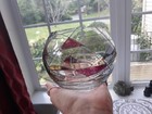 Picture 5 of 7