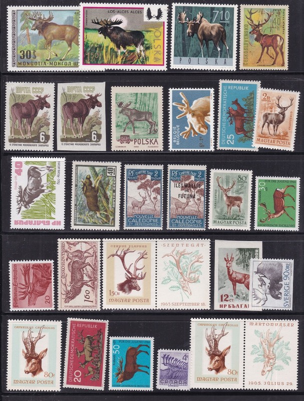 WORLD     ^^^^^older x 28  MNH   sets ( WILDLIFE,  DEERS   )   @dco5242deers