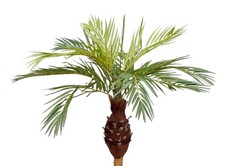 48in Palm Phoenix Artificial Greenery Plant Un-potted Tree Green, 1