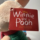 Piglet Plush Winnie The Pooh The New Musical Stage Adaptation Green Red Scarf — photo 9