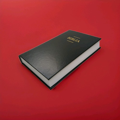 Romanian Bible Biblia Română References Vinyl Covered hardback Present Gift - Imagen 6 de 24
