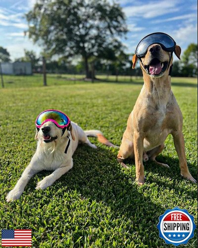 Large Dog Sunglasses, Dog Goggles Large Breed and Medium, UV Protection, Wind - Bild 2 von 5