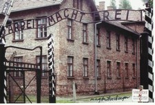 MAGDA HERZBERGER Signed Photo WW II AUTOGRAPH COA HOLOCAUST SURVIVOR AUSCHWITZ