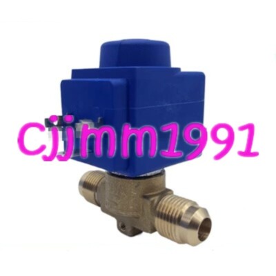 1PC NEW CASTEL solenoid valve 1078/5 Welding 5/8 #F22