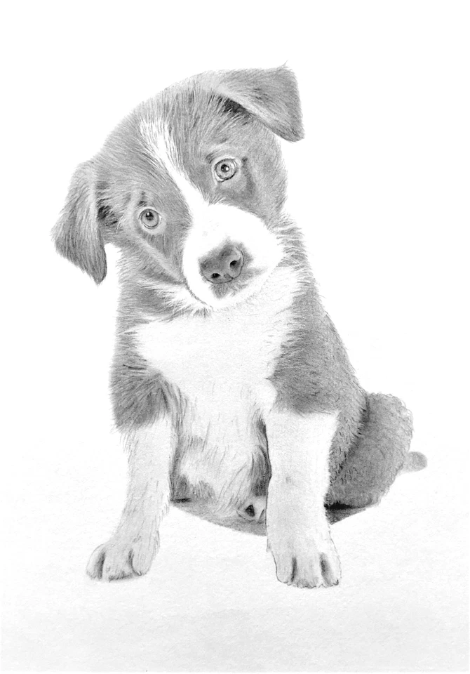 Retratos personalizados dibujados a mano de fotos - lápiz de grafito y carbón sobre papel Foto 4 de 4