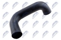 GPP-RE-013 NTY Ladeluftschlauch FüR Nissan,Opel,Renault