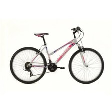 BICICLETTA 24 MOUNTAIN-BIKE INFINITY DONNA 18v CICLI BRERA grigio 10-12 anni