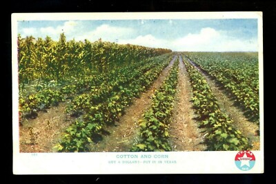 Advertising postcard Cotton Corn farming industry Texas real estate  Vintage
