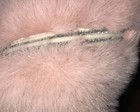 Bild 5 von 7